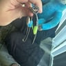 Small image 2