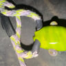 Small image 1
