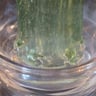 Small image 6