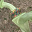 Small image 9