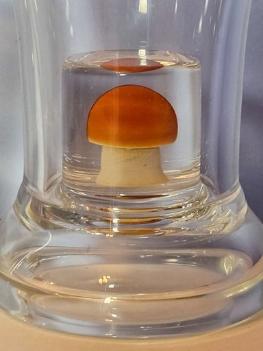 Preview pic of 16oz tripped. And shot glass with magic mushroom 🍄  cube 🧊 at the bottom to keep your beverage nice and trippy.