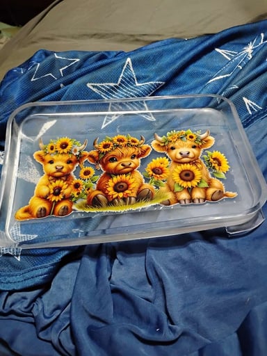 Preview pic of Our little moo. Pot tray