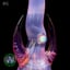 Small image 8