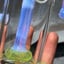 Small image 6