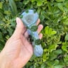 Small image 0