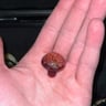 Small image 5