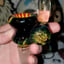 Small image 3