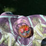 Small image 5