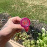 Small image 1