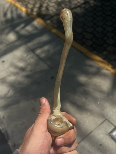 Preview pic of Gandalf Glass Pipe