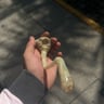 Small image 2