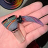 Small image 4