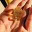 Small image 7