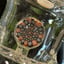 Small image 8