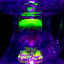 Small image 9