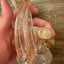 Small image 7