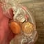 Small image 8