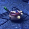 Small image 4