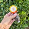 Small image 1