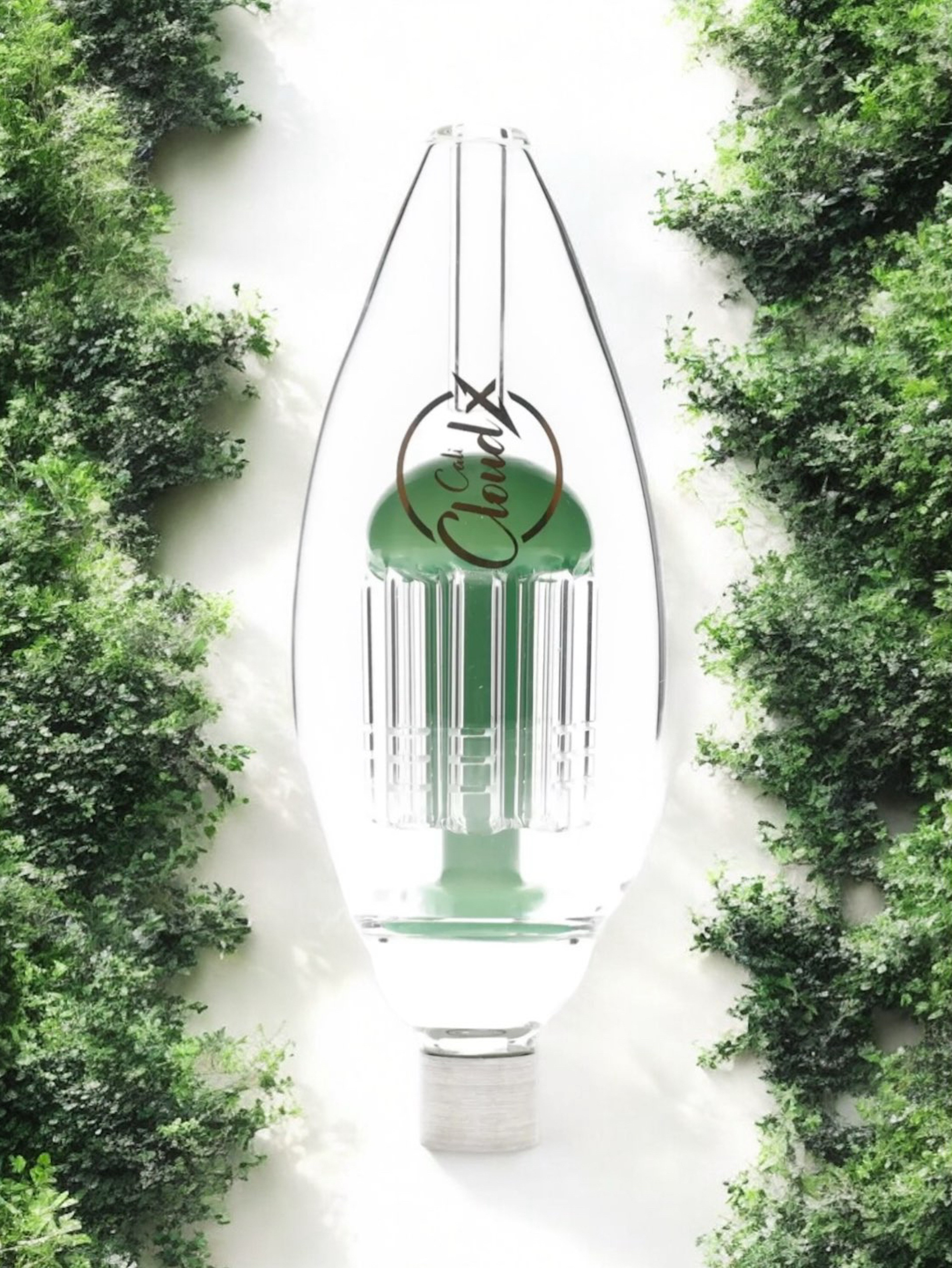 Oval Tree Cali Cloudx Straw TIDE-X-R in Dark Green 🌲 image 0