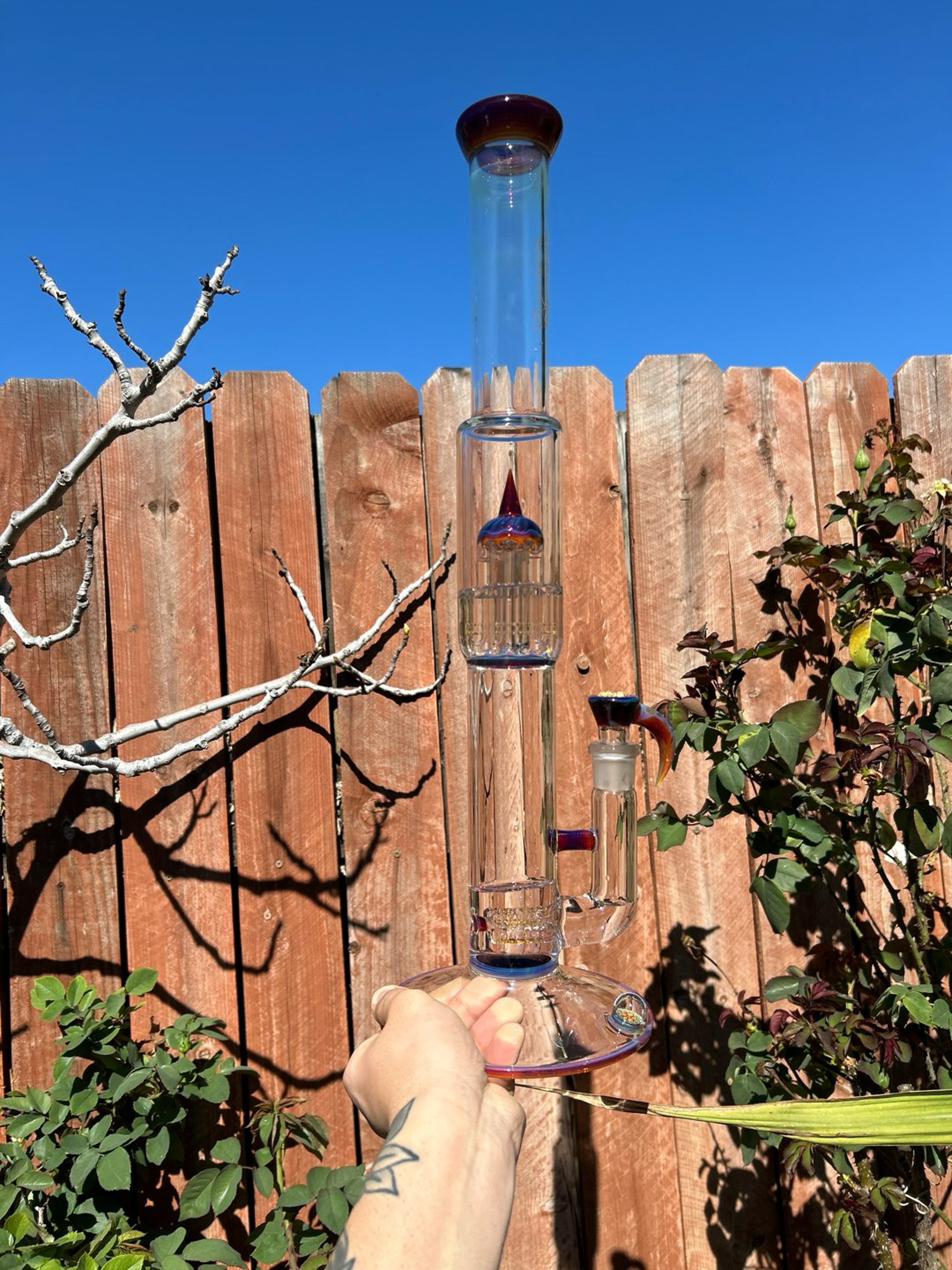 Sovereignty FA AP 3-8 w/Millie image 0