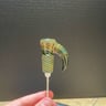 Small image 1