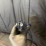 Small image 0