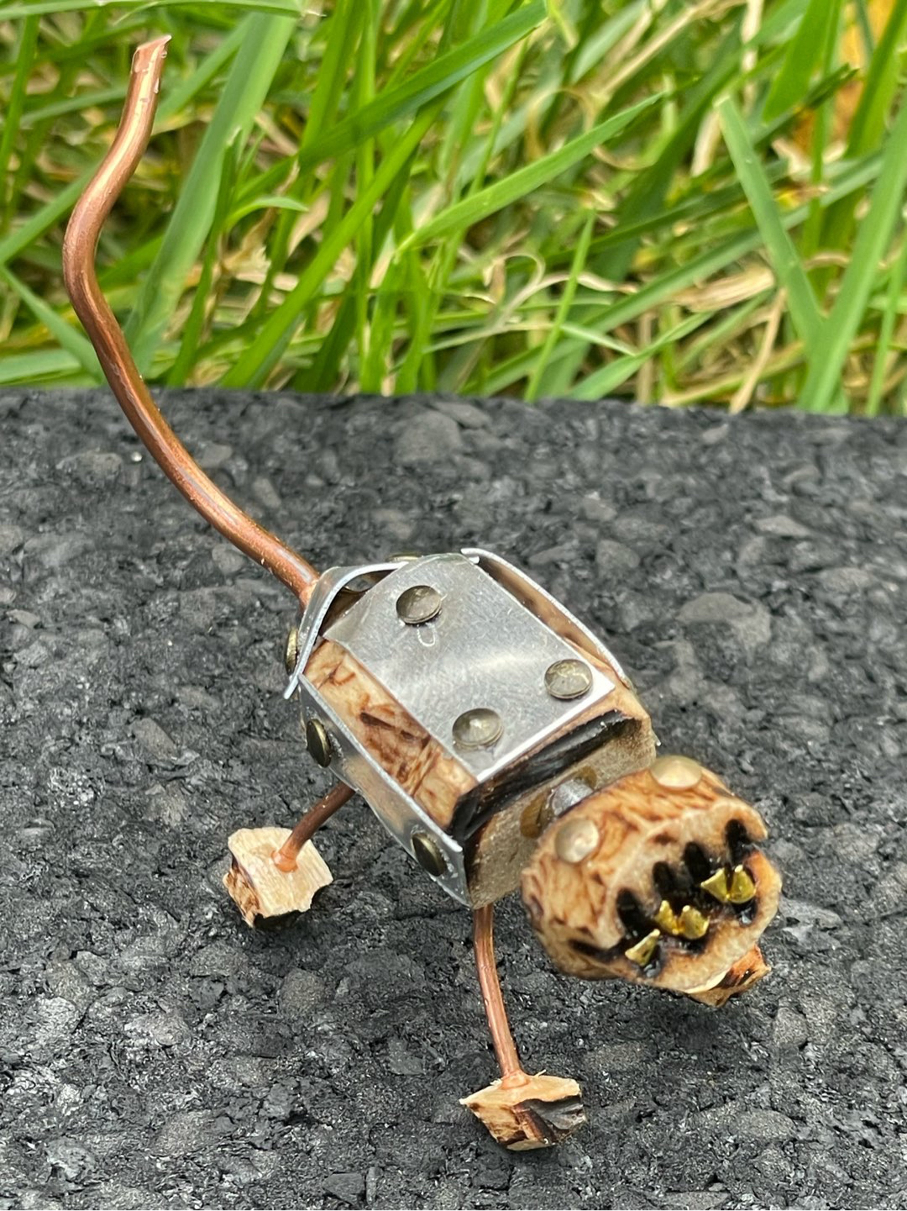 Cyborg IKKO “Chompychomp” image 0