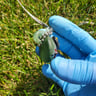 Small image 3