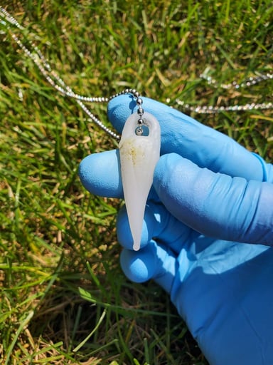 Preview pic of Tooth Pendy