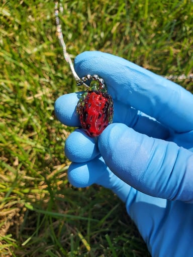 Preview pic of Strawberry Pendy