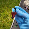 Small image 1