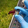 Small image 2