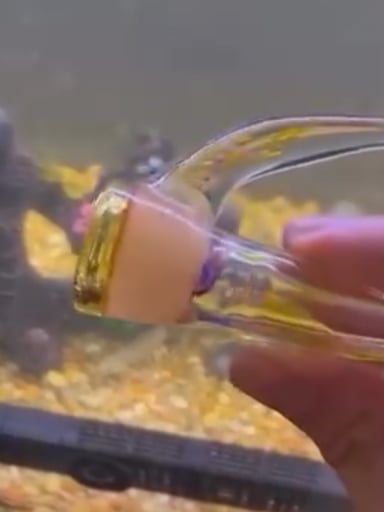 Preview pic of 18/4 CFL Fully Worked Elemental Glass Slide