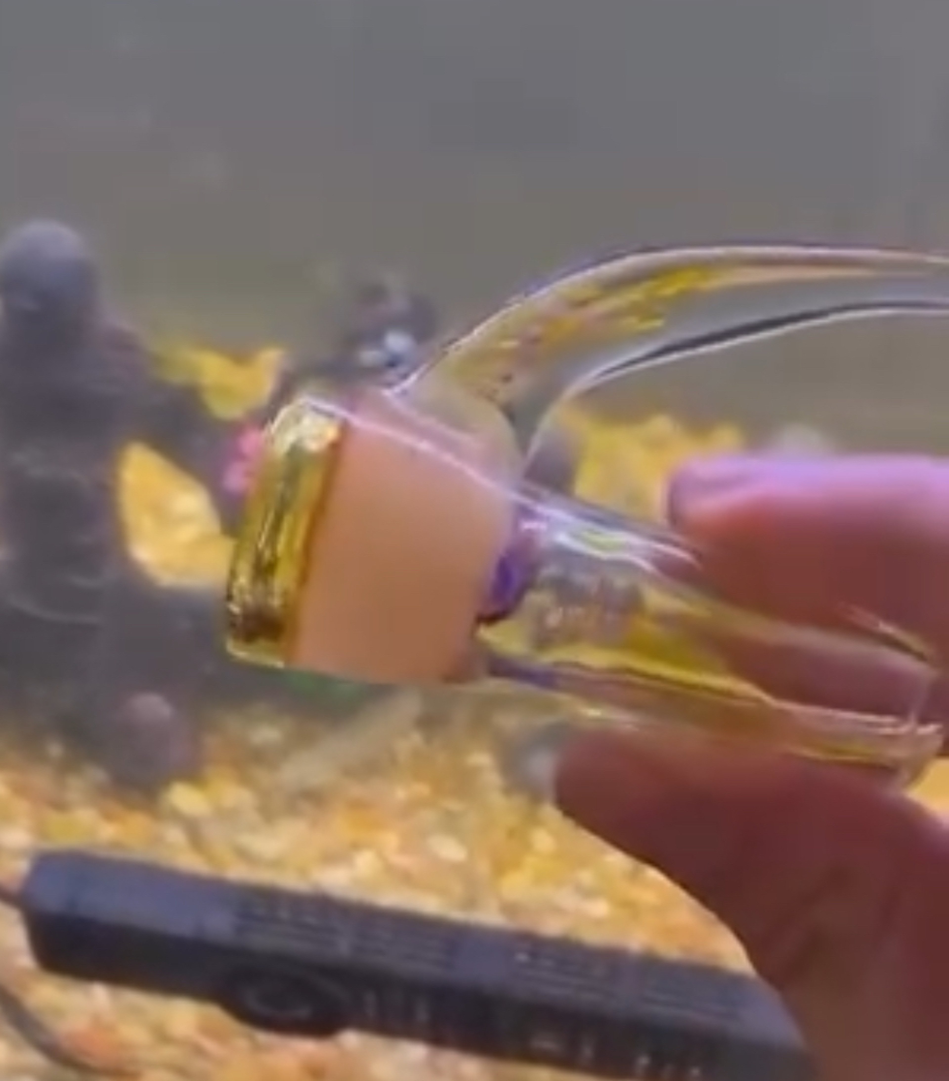 Preview pic of 18/4 CFL Fully Worked Elemental Glass Slide