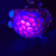 Small image 6