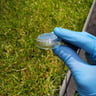 Small image 2