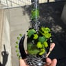 Small image 4