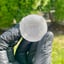 Small image 7
