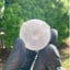 Small image 6