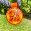 Small image 7
