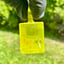 Small image 4