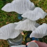 Small image 6