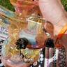 Small image 5