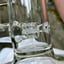 Small image 6