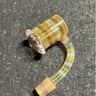 Small image 1