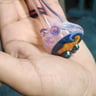 Small image 3