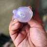 Small image 4