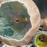 Small image 1