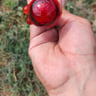 Small image 6